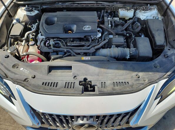 58AFA1C10PU030642 2023 LEXUS ES White Вид задньої частини салону
