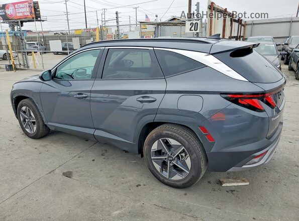 5NMJB3DE9SH586965 2025 HYUNDAI TUCSON Gray Հետևի աջ