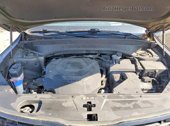 5XYP5DHC5MG141118 2021 KIA TELLURIDE Коричневый Вид наклейки с VIN-кодом