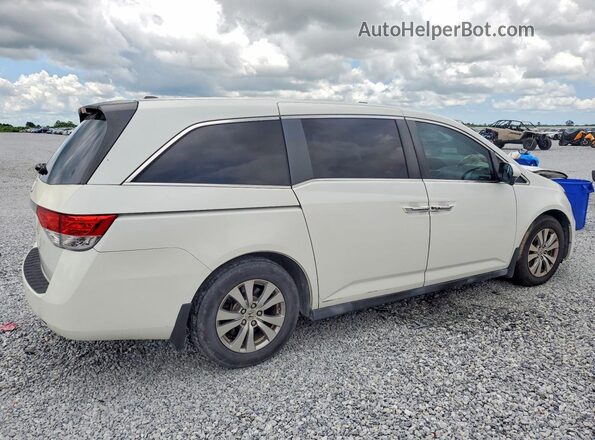 5FNRL5H65EB098472 2027 HONDA OTHER White Задня права чверть