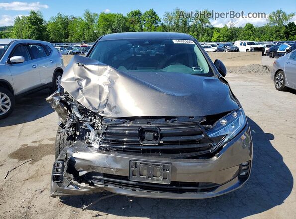 5FNRL6H51MB043724 2021 HONDA ODYSSEY Brown 