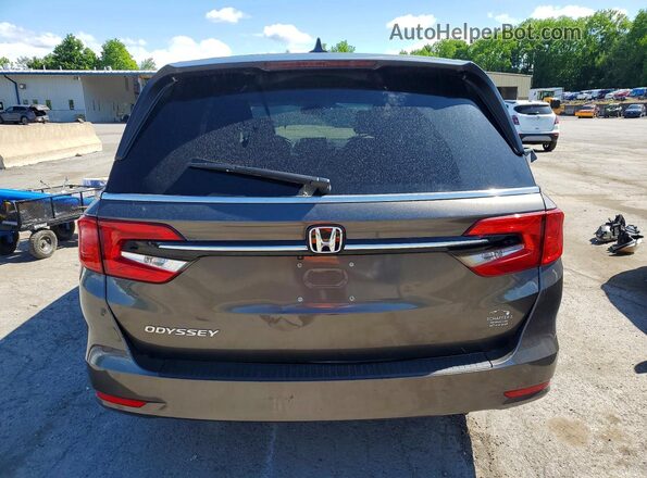 5FNRL6H51MB043724 2021 HONDA ODYSSEY Brown 