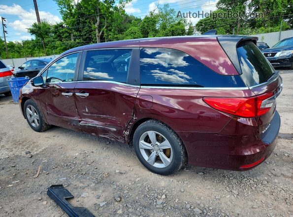 5FNRL6H52KB012320 2019 HONDA ODYSSEY Burgundy 