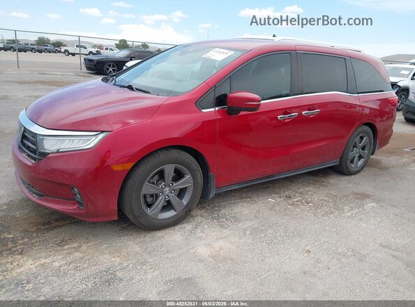 5FNRL6H56NB020571 2022 HONDA ODYSSEY Red Передня ліва чверть