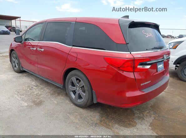 5FNRL6H56NB020571 2022 HONDA ODYSSEY Red Задня ліва чверть