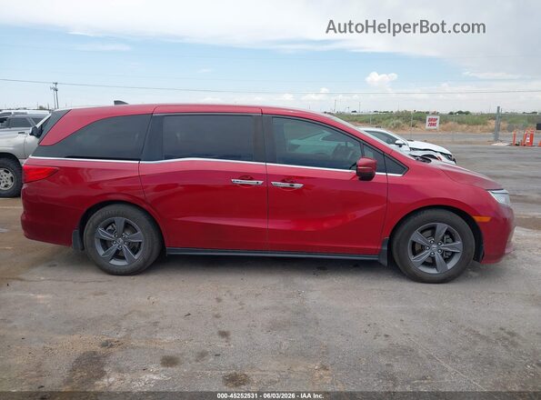 5FNRL6H56NB020571 2022 HONDA ODYSSEY Red Вид задньої частини салону