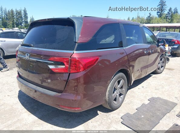 5FNRL6H58MB016309 2021 HONDA ODYSSEY Бордовый Задняя правая четверть