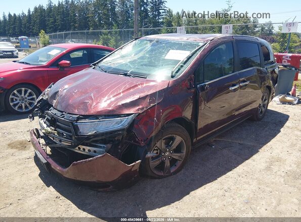5FNRL6H58MB016309 2021 HONDA ODYSSEY Бордовый Передняя левая четверть