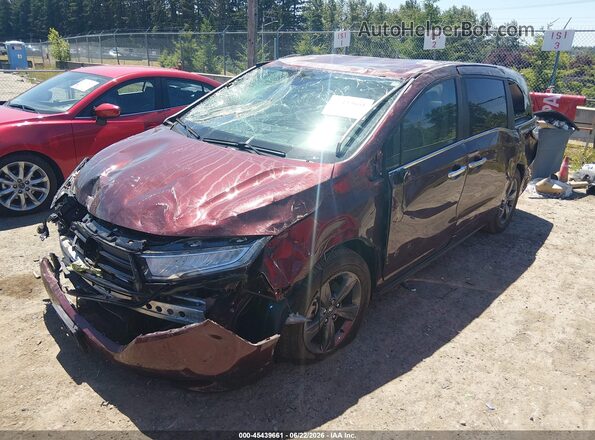 5FNRL6H58MB016309 2021 HONDA ODYSSEY Бордовый Вид спереди
