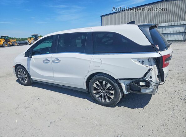 5FNRL6H61RB035574 2024 HONDA ODYSSEY Белый Задняя левая четверть