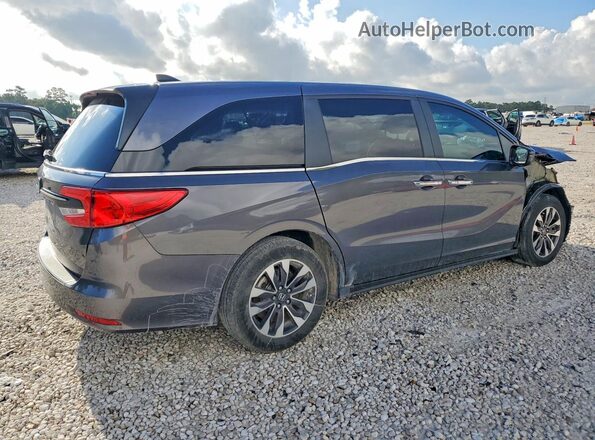 5FNRL6H62RB002809 2024 HONDA ODYSSEY Gray Rear right