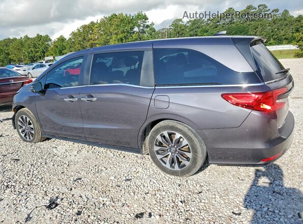 5FNRL6H62RB002809 2024 HONDA ODYSSEY Gray Rear left