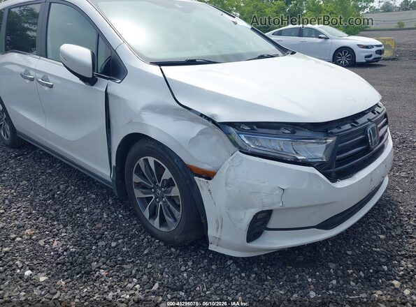 5FNRL6H63RB014581 2024 HONDA ODYSSEY White 