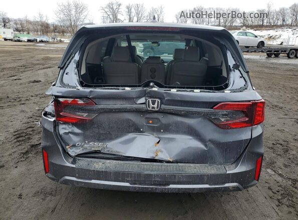 5FNRL6H63SB061681 2025 HONDA ODYSSEY Серый 