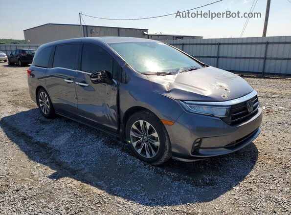 5FNRL6H64RB074207 2024 HONDA ODYSSEY Gray 