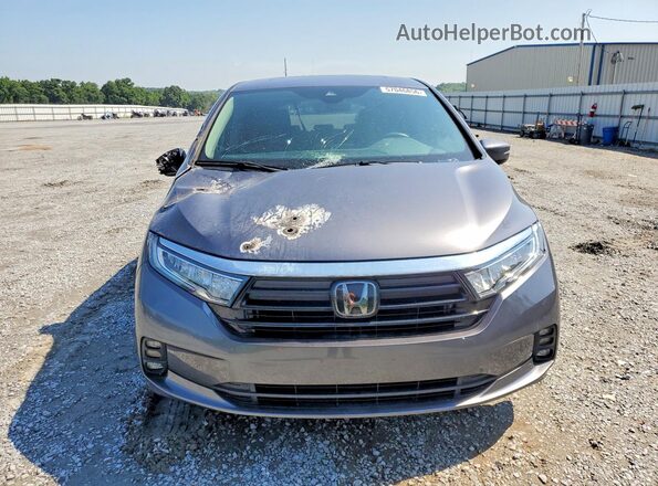 5FNRL6H64RB074207 2024 HONDA ODYSSEY Gray 