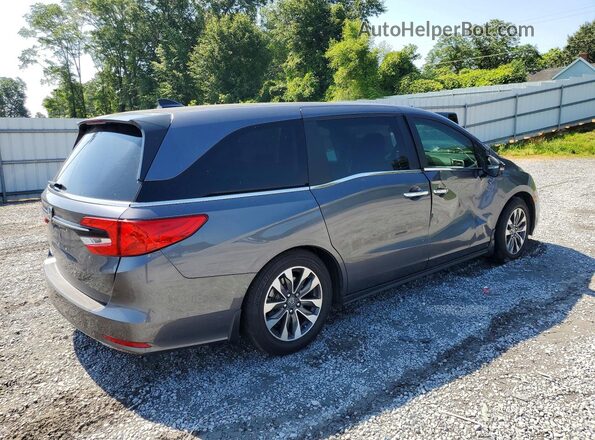 5FNRL6H64RB074207 2024 HONDA ODYSSEY Gray 