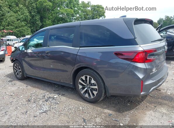 5FNRL6H64SB052441 2025 HONDA ODYSSEY Gray Սալոնի 360 աստիճան տեսք