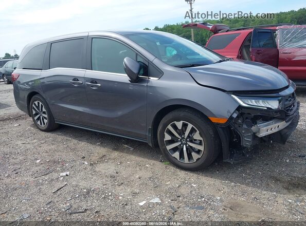 5FNRL6H64SB052441 2025 HONDA ODYSSEY Gray Սալոնի հետևի տեսք