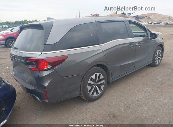 5FNRL6H65TB025508 2026 HONDA ODYSSEY Gray Rear right