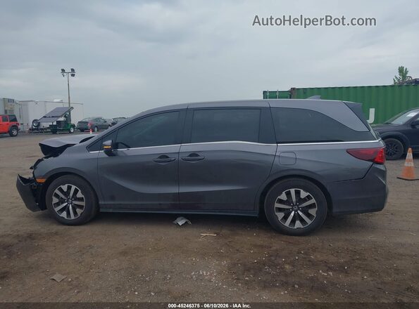 5FNRL6H65TB025508 2026 HONDA ODYSSEY Gray 360 interior view