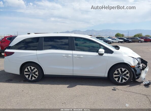 5FNRL6H66SB074439 2025 HONDA ODYSSEY White Սալոնի հետևի տեսք