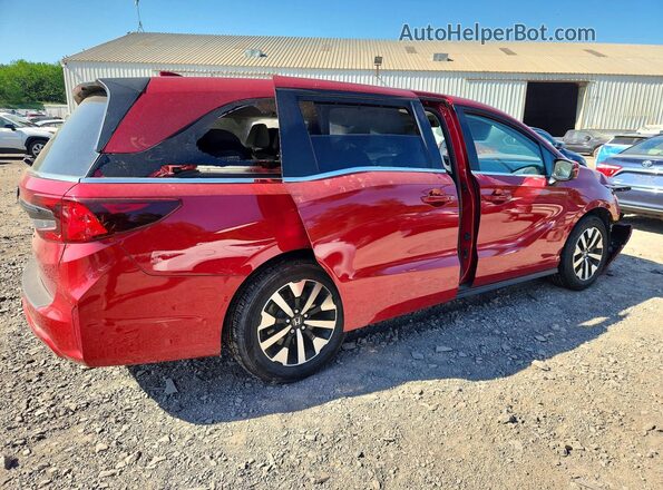 5FNRL6H67SB007963 2025 HONDA ODYSSEY Red Trasero derecho