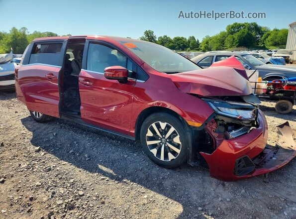 5FNRL6H67SB007963 2025 HONDA ODYSSEY Red Delantero derecho