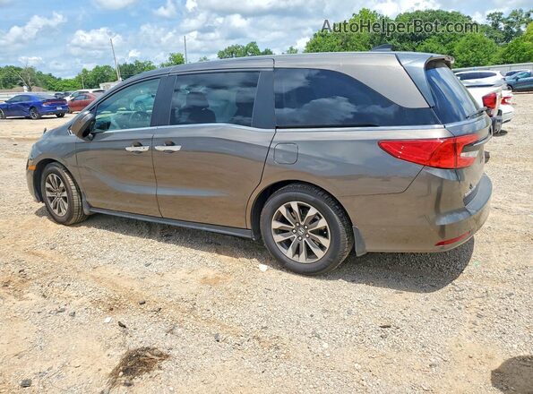 5FNRL6H68PB017084 2023 HONDA ODYSSEY Gray უკანა მარცხენა