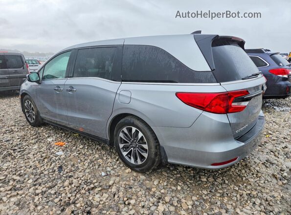 5FNRL6H69RB008994 2024 HONDA ODYSSEY Silver უკანა მარცხენა