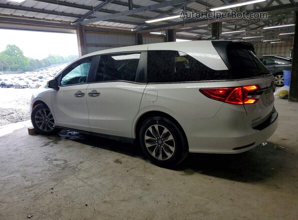 5FNRL6H69RB022202 2024 HONDA ODYSSEY White 