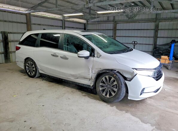 5FNRL6H69RB022202 2024 HONDA ODYSSEY White 