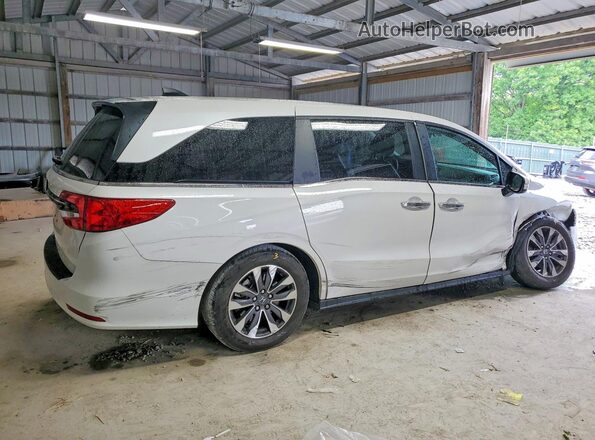 5FNRL6H69RB022202 2024 HONDA ODYSSEY White 