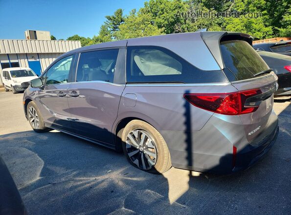 5FNRL6H69SB087072 2025 HONDA ODYSEY Gray 