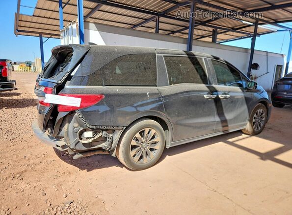 5FNRL6H6XRB017171 2024 HONDA ODYSSEY Черный 