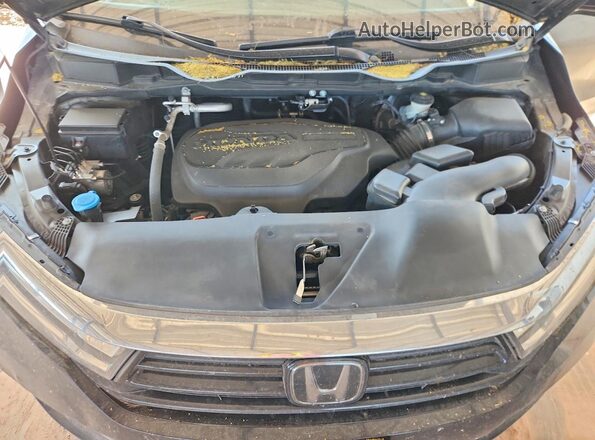 5FNRL6H6XRB017171 2024 HONDA ODYSSEY Черный 