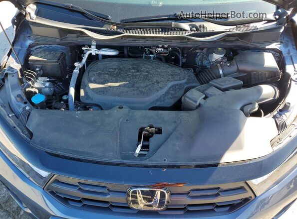 5FNRL6H6XSB037684 2025 HONDA ODYSSEY Синий 