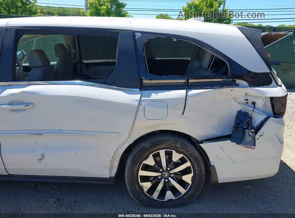 5FNRL6H6XSB069289 2025 HONDA ODYSSEY White Դիմացի տեսք