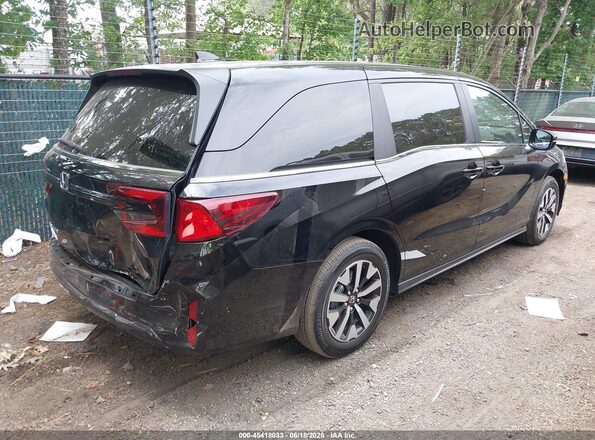 5FNRL6H6XTB069181 2026 HONDA ODYSSEY Black 