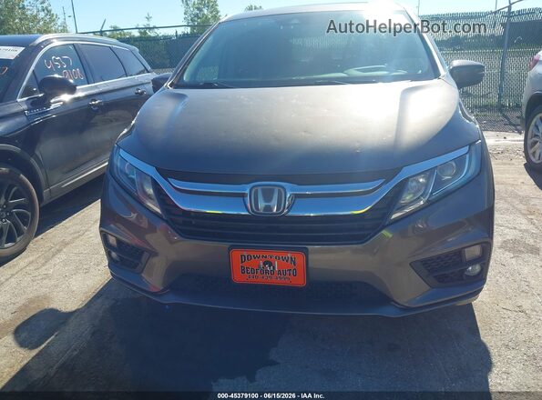 5FNRL6H70KB072663 2019 HONDA ODYSSEY Gray 