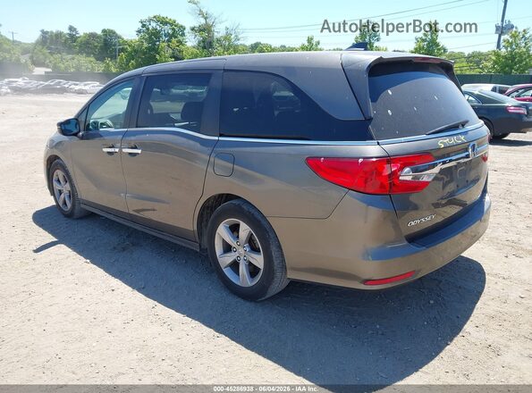 5FNRL6H70LB011010 2020 HONDA ODYSSEY Brown Задня ліва чверть