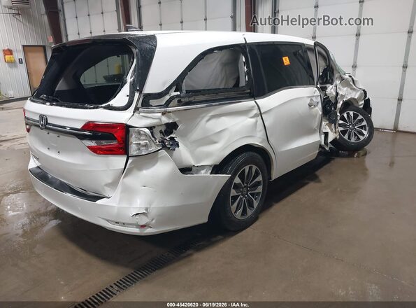 5FNRL6H70MB026110 2021 HONDA ODYSSEY White Հետևի աջ