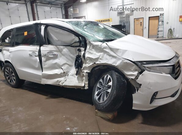 5FNRL6H70MB026110 2021 HONDA ODYSSEY White Սալոնի հետևի տեսք
