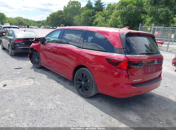 5FNRL6H70PB038326 2023 HONDA ODYSSEY Burgundy უკანა მარცხენა
