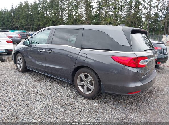 5FNRL6H71LB046090 2020 HONDA ODYSSEY Серый Задняя левая четверть