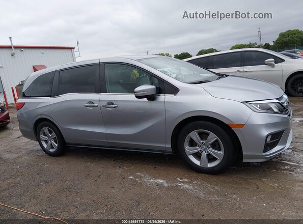 5FNRL6H71LB056473 2020 HONDA ODYSSEY Gray Вид задньої частини салону
