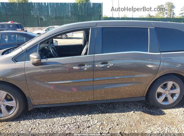 5FNRL6H71LB064878 2020 HONDA ODYSSEY Gray 