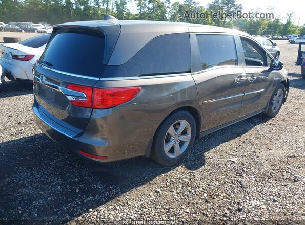 5FNRL6H71LB064878 2020 HONDA ODYSSEY Gray 