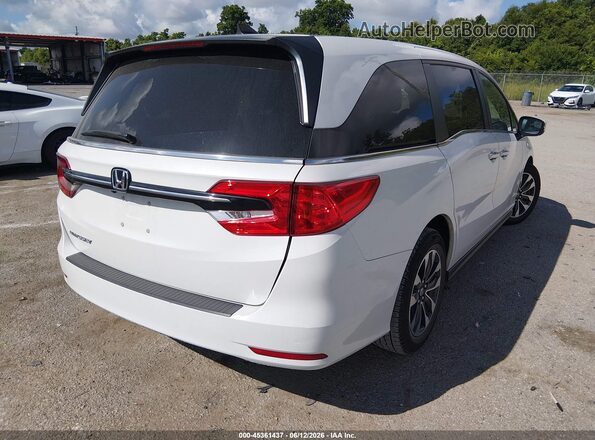 5FNRL6H71MB017058 2021 HONDA ODYSSEY White Tył prawy