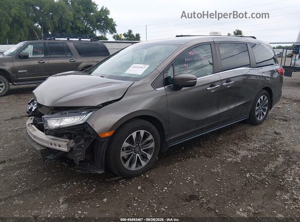 5FNRL6H71MB018646 2021 HONDA ODYSSEY Brown Przód lewy